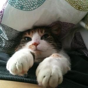 Meet your Posher, Linda